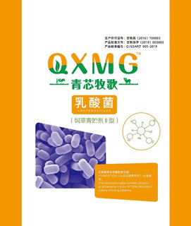 乳酸菌青贮添加剂Ⅱ型